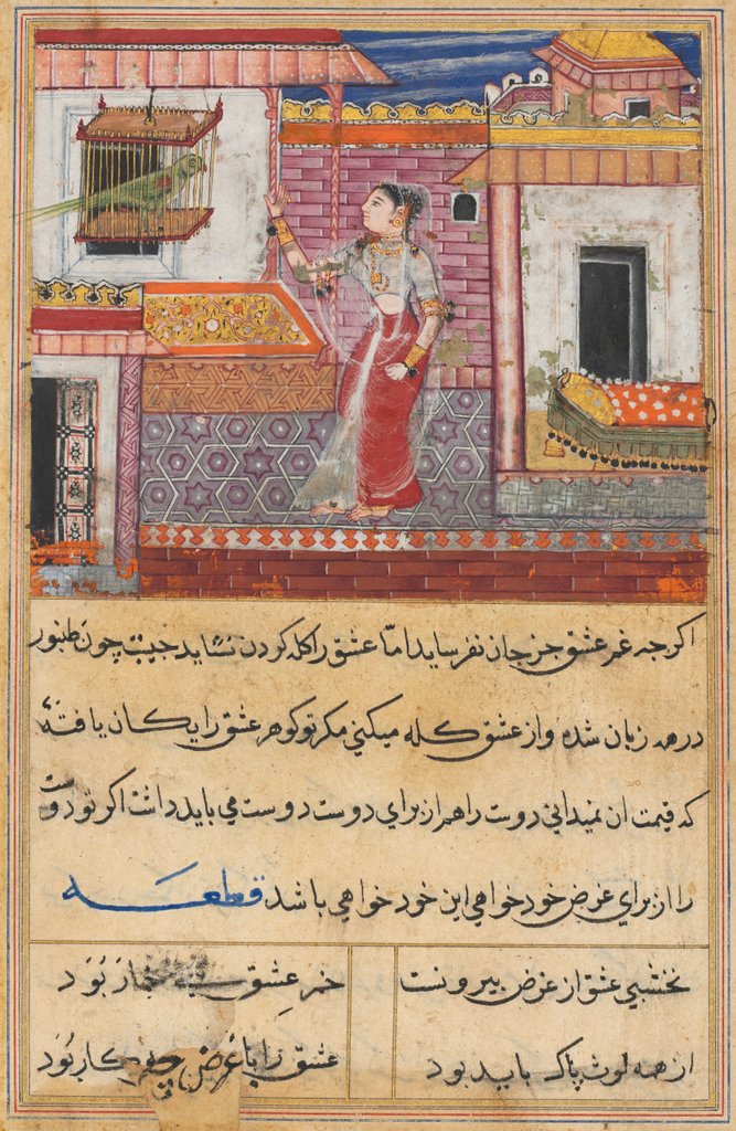 Detail of Page from Tales of a Parrot: Thirteenth night: The parrot addresses Khujasta…, c. 1560 by Unknown