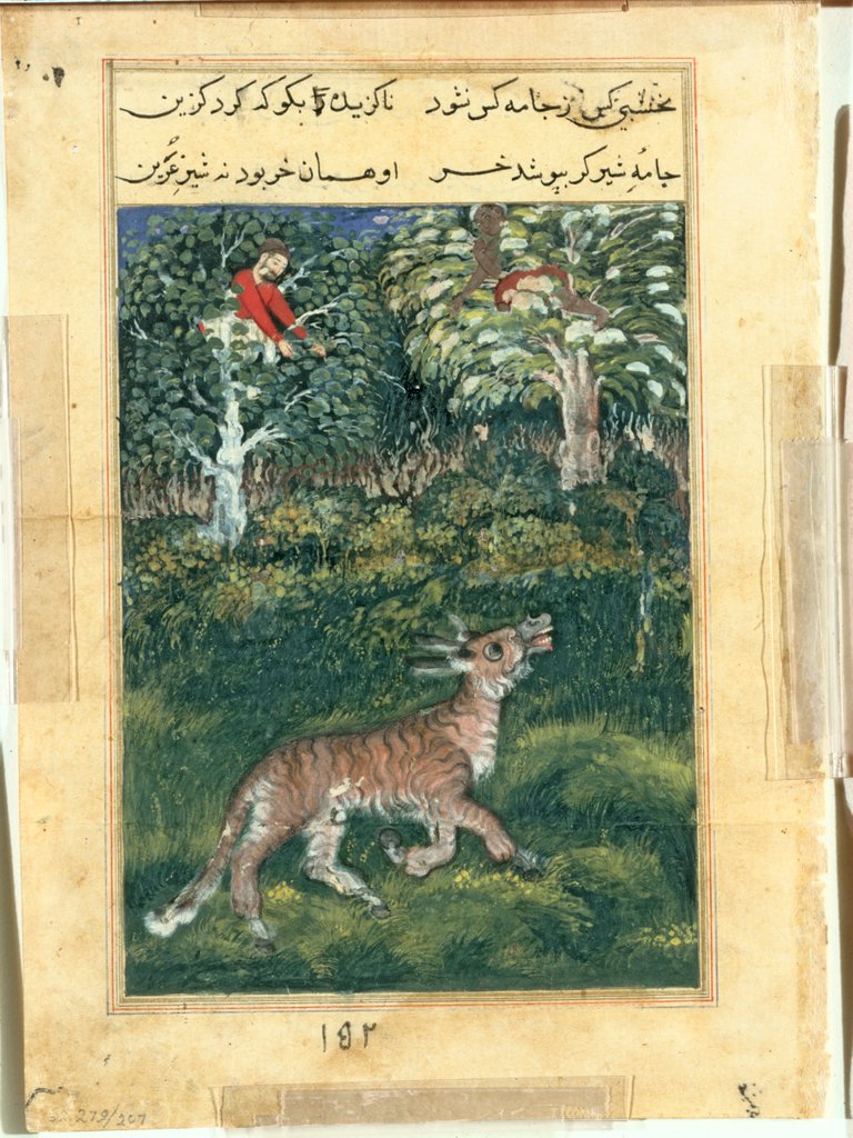 Detail of Page from Tales of a Parrot: Thirty-first night: The donkey, in a tiger?s skin…, 1558- by Basavana (attributed to)