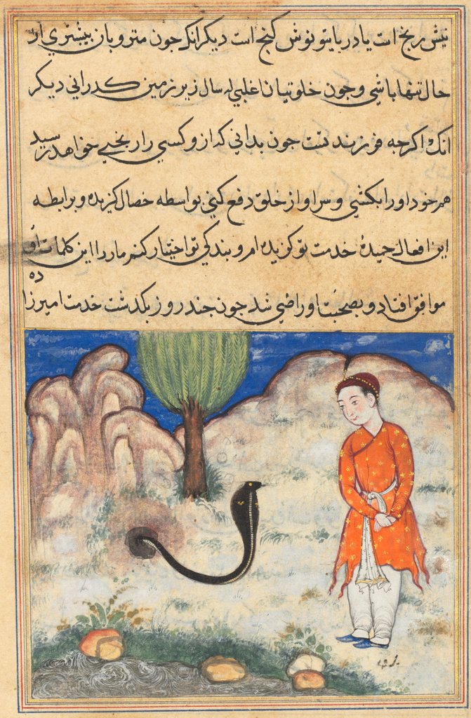Detail of Page from Tales of a Parrot: Thirty-seventh night: The prince…, c. 1560 by Unknown