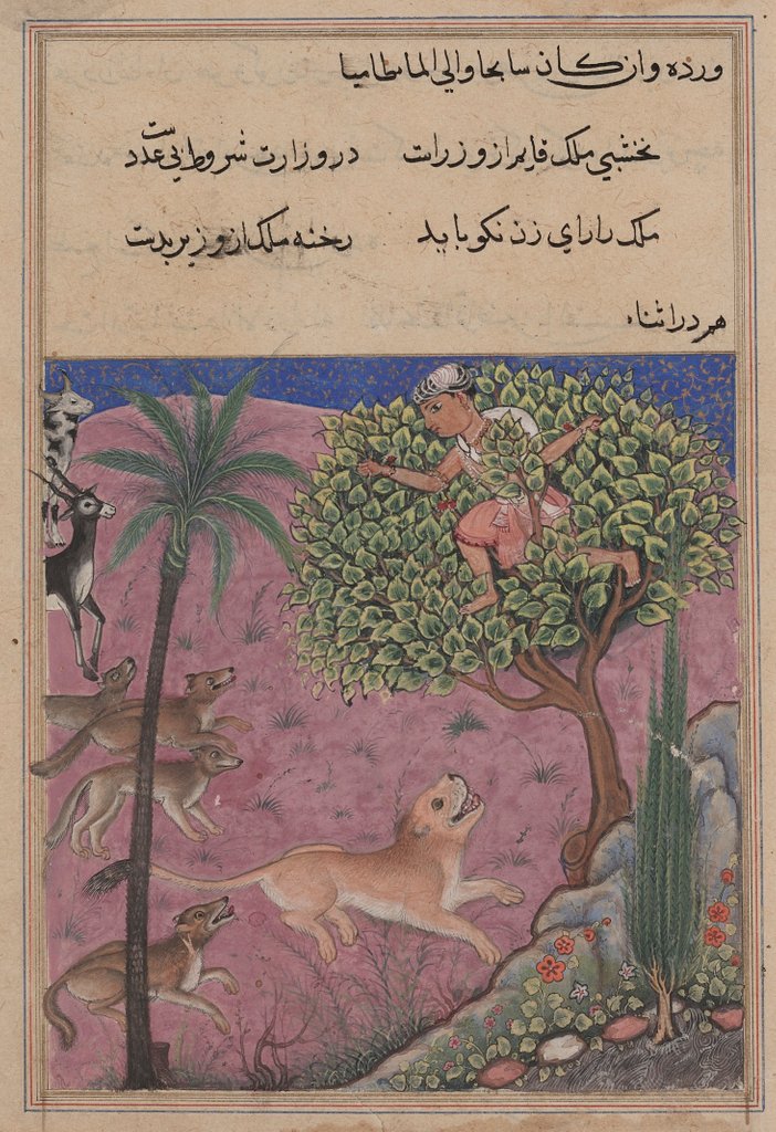 Detail of Page from Tales of a Parrot: Twenty-first night: The wolf and the jackal…, c. 1560 by Unknown