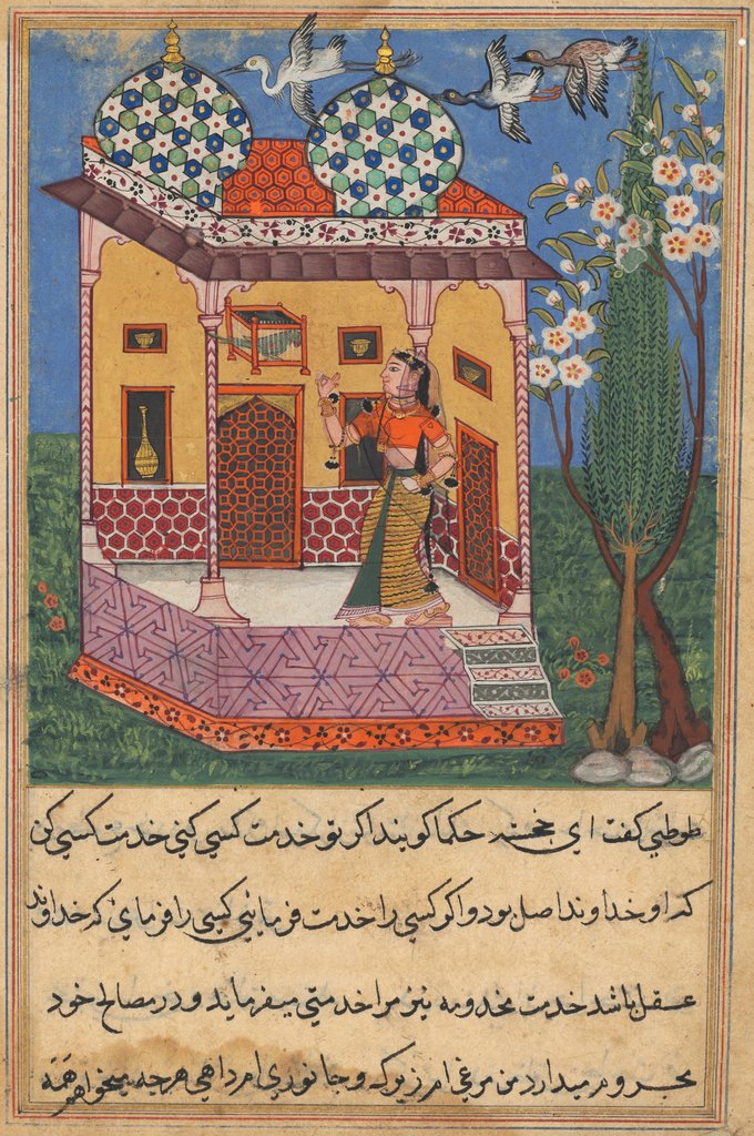 Detail of Page from Tales of a Parrot: Twenty-sixth night: The parrot addresses Khujasta…, c1560 by Unknown
