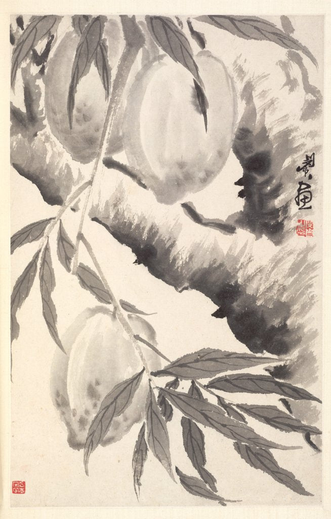 Detail of Peaches, 1788 by Min Zhen