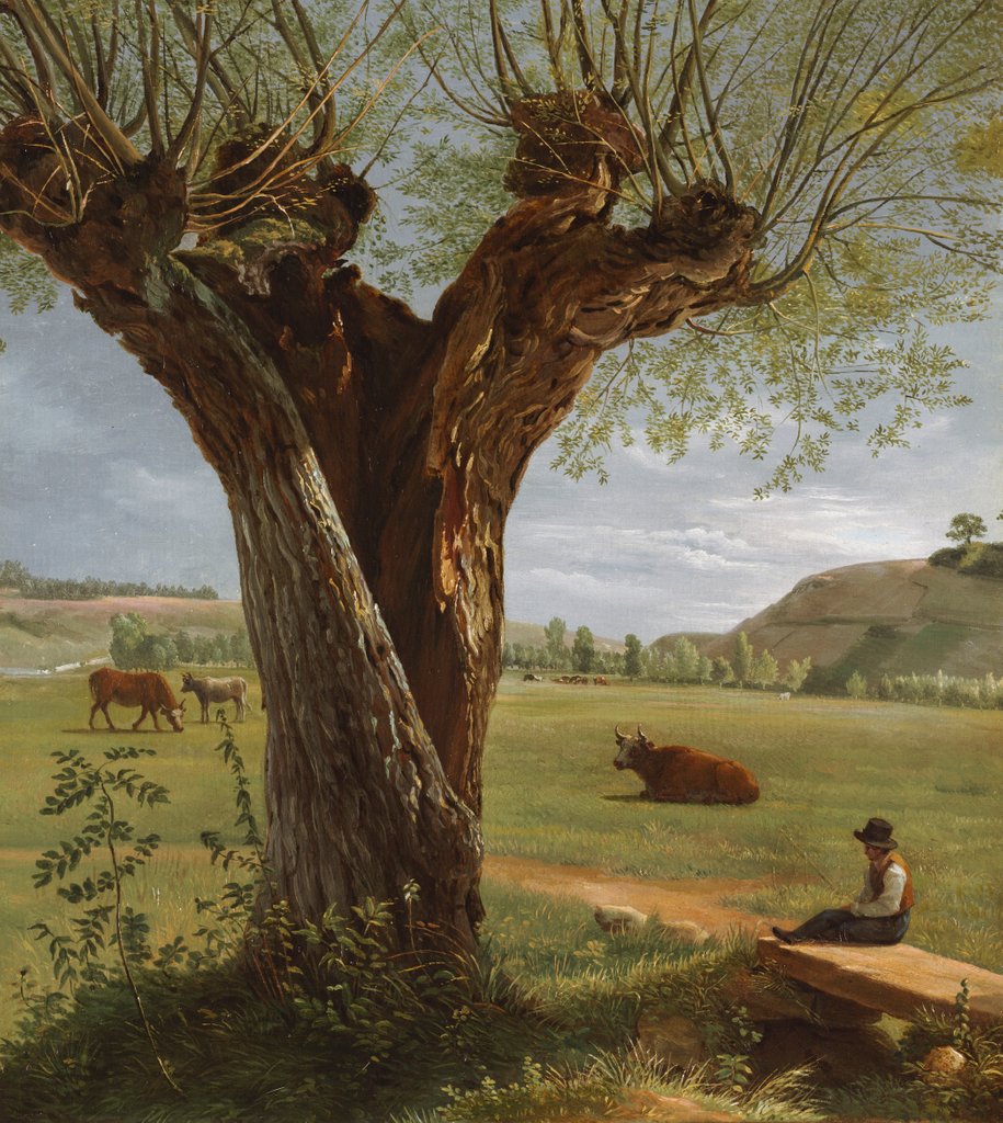Detail of Pollard Willow, after 1804 by Pierre Jean Boquet