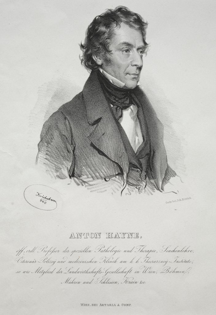 Detail of Portrait of Dr. Anton Hayne, 1840 by Joseph Kriehuber