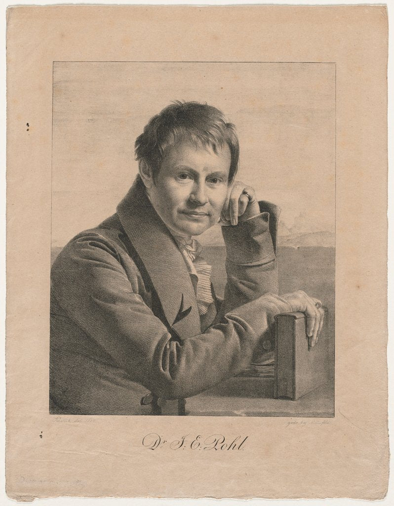 Detail of Portrait of Dr. F. E. Pohl, 1825 by Franz Kadlich