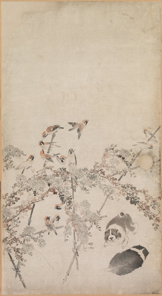 Detail of Puppies, Sparrows and Chrysanthemums, 1754-1799 by Nagasawa Rosetsu