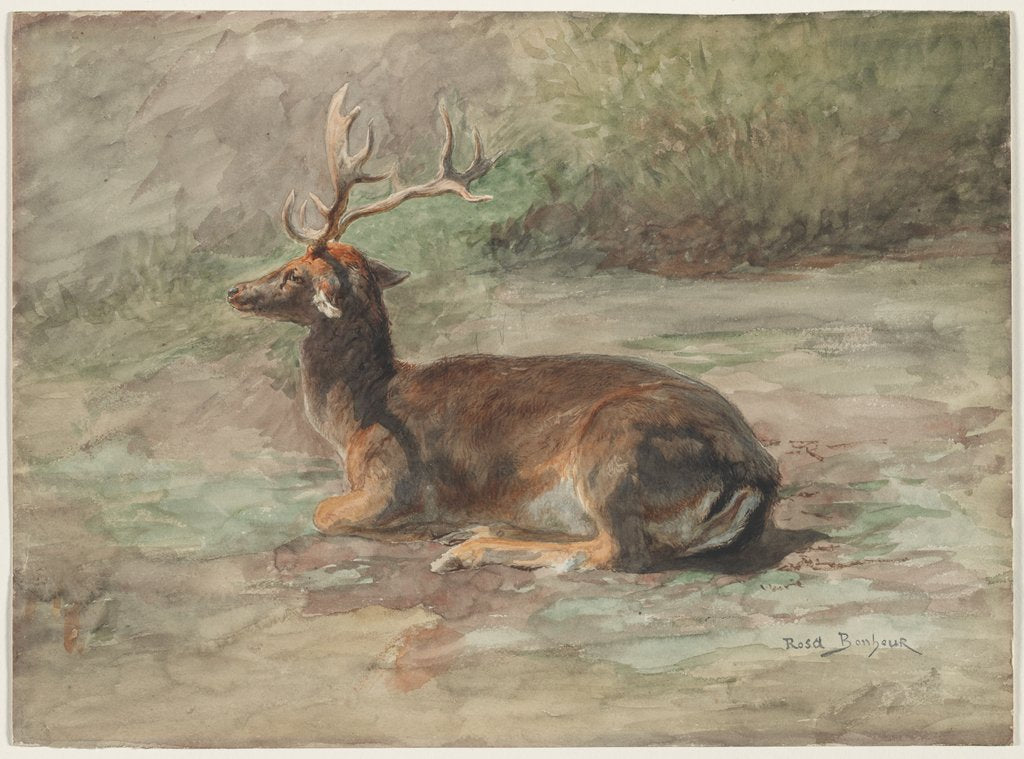 Detail of Recumbent Stag, second half 19th century by Rosa Bonheur