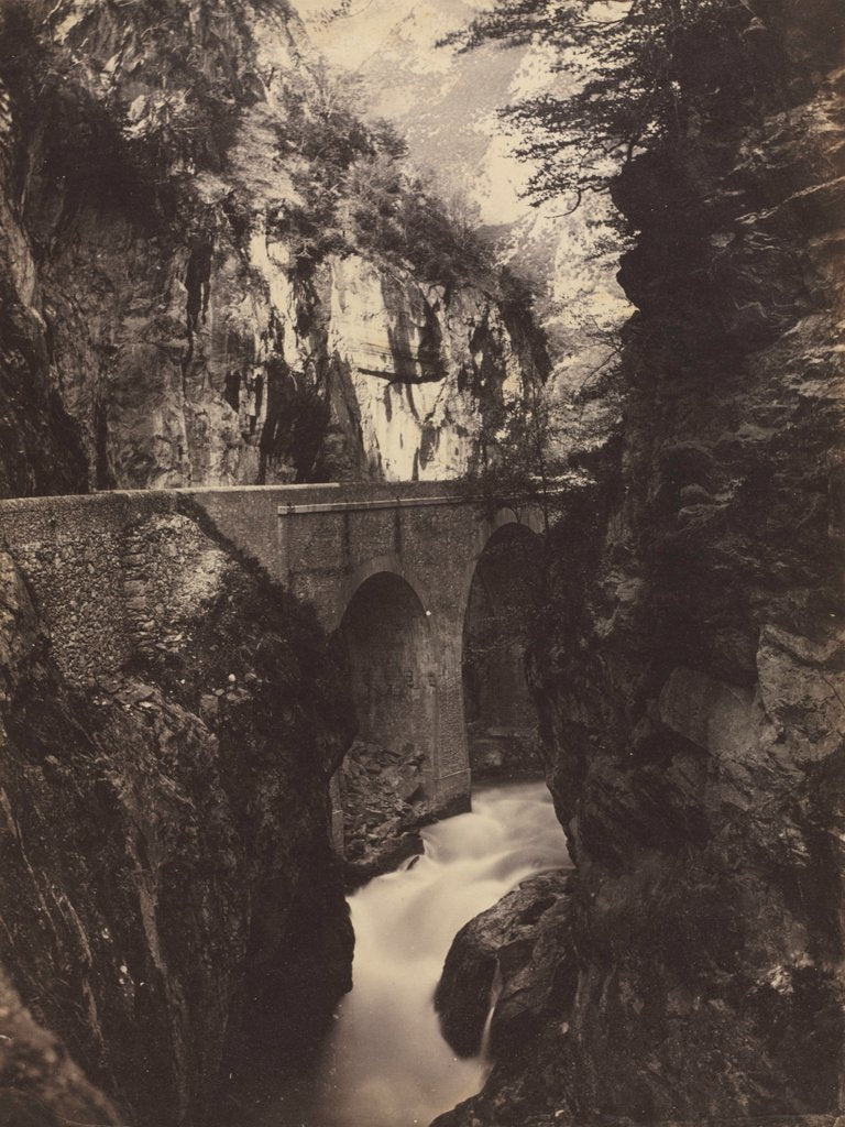 Detail of Road to Eaux-Chaudes, Pyrenees, c. 1855 by Farnham Maxwell Lyte
