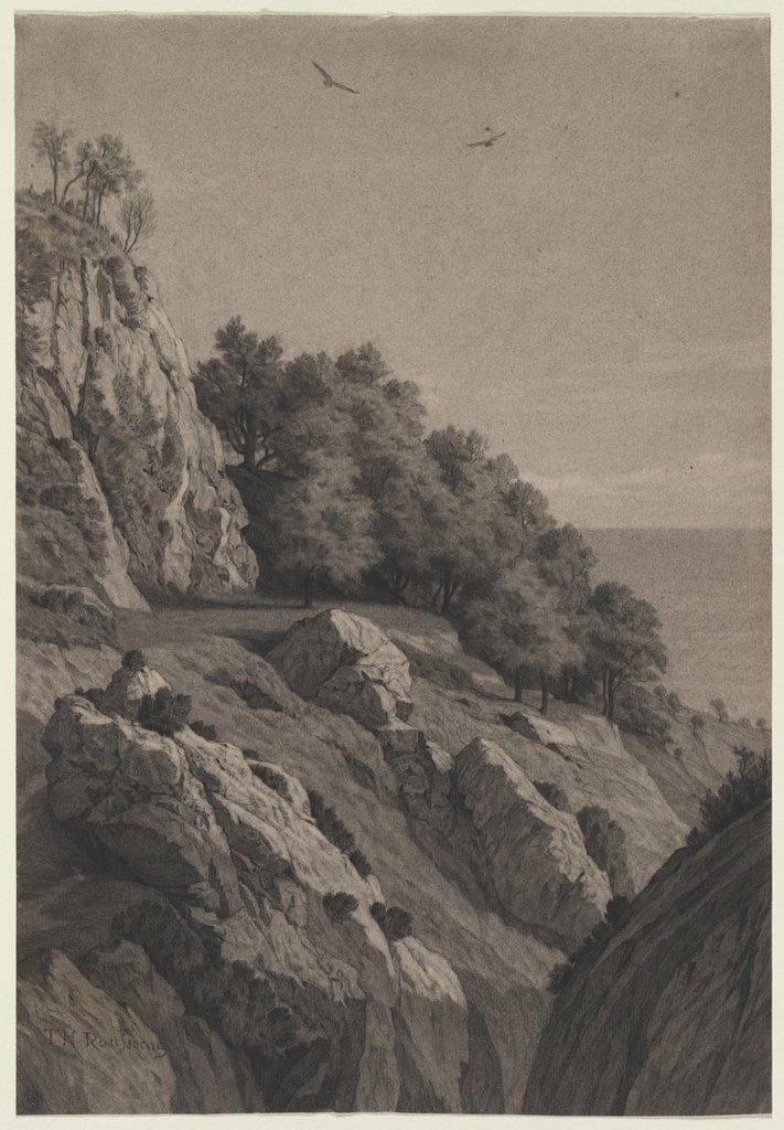 Detail of Rocky Cliff on a Coast, c. 1850-1860 by Anonymous