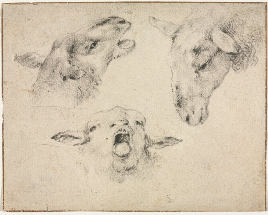 Detail of Sheep Heads, second or third quarter 1800s by Wouter Verschuur
