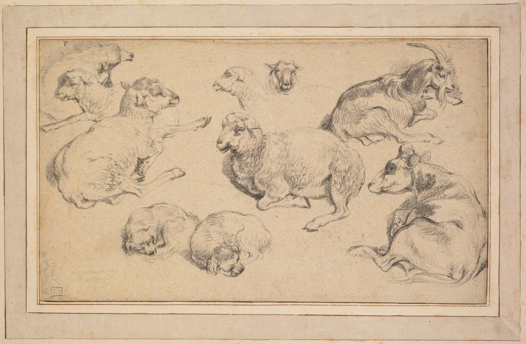 Detail of Sheet of Studies with Sheep, Goats, and Dogs, c. 1780 by Jean-Baptiste Marie Hüet