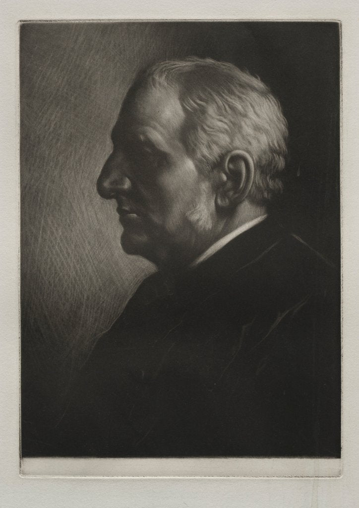 Detail of Sir Seymour Haden by Alphonse Legros
