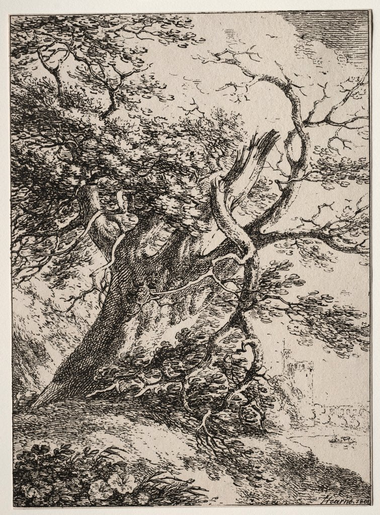 Detail of Specimens of Polyautography: Landscape with an Oak Tree, 1803 by Thomas Hearne
