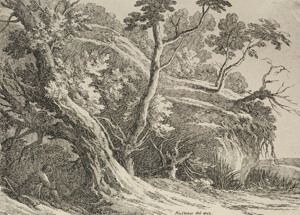 Detail of Specimens of Polyautography: Man Seated under an Oak, 1802 by Richard II Cooper