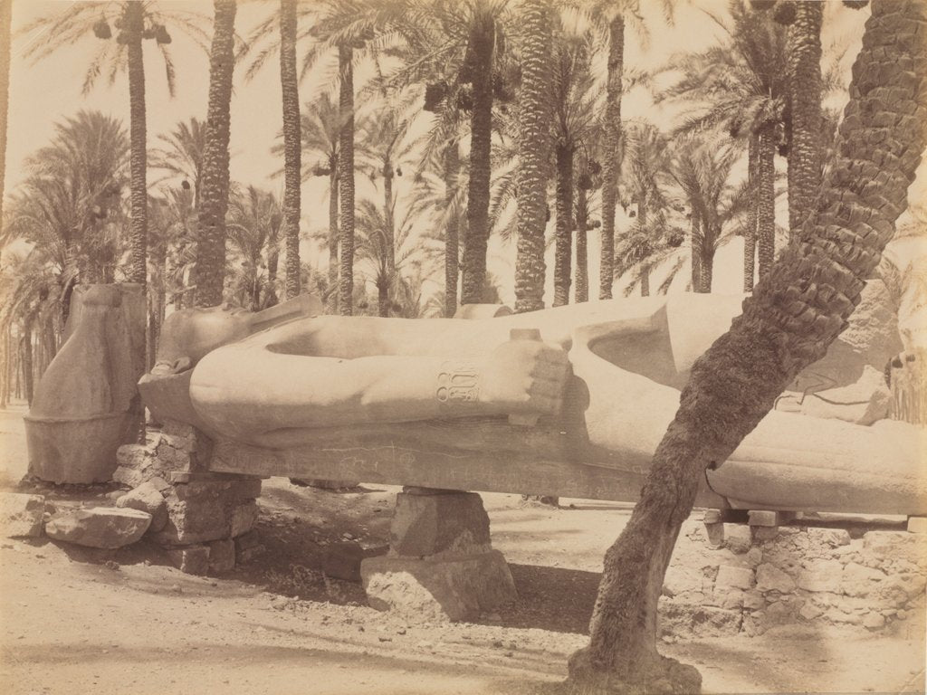Detail of Statue of Ramesses at Saqqara, c. 1870s - 1880s by Antonio Beato
