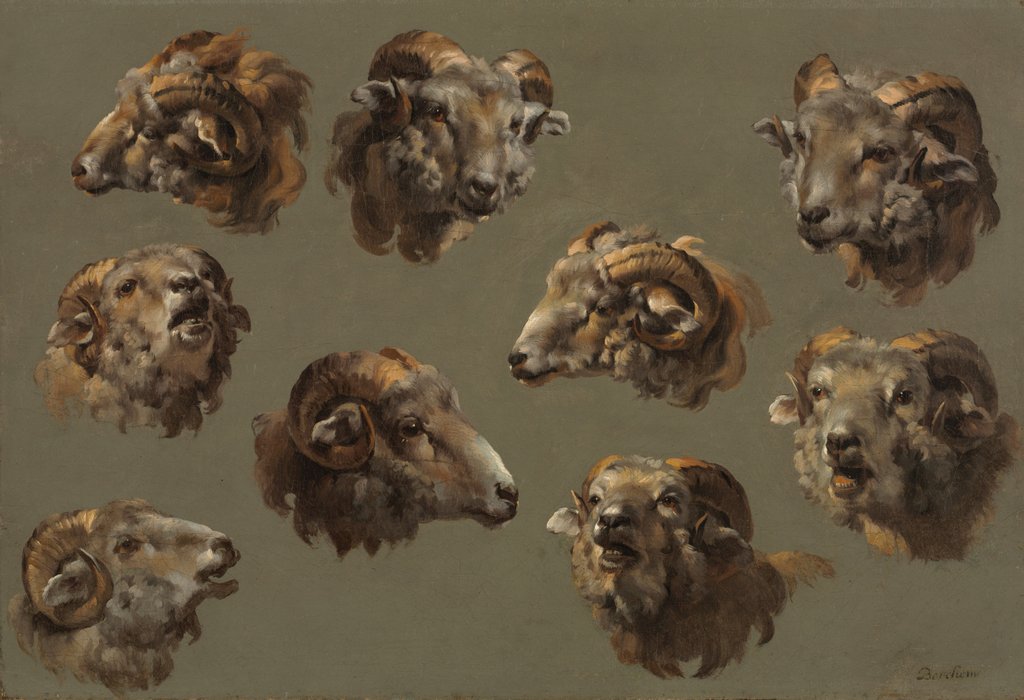 Detail of Studies of Ram Heads, 1700s by Unknown