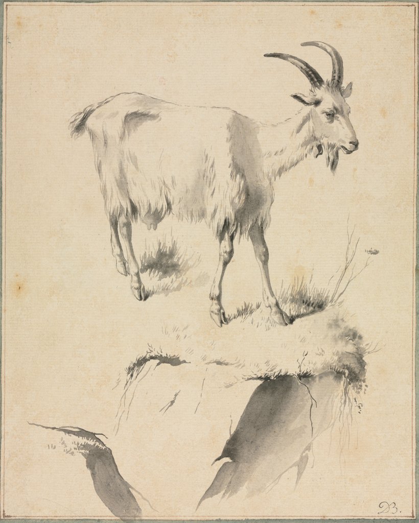 Detail of Study of a Goat, 1700s by Jean Jacques de Boissieu