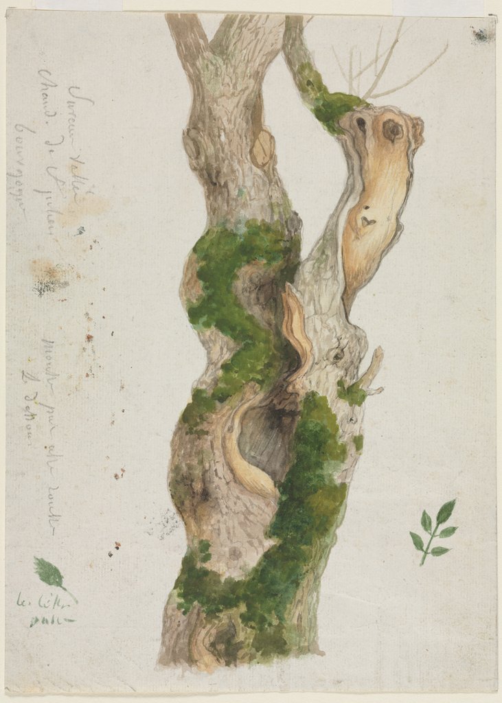 Detail of Study of a Tree Trunk by Georges Michel