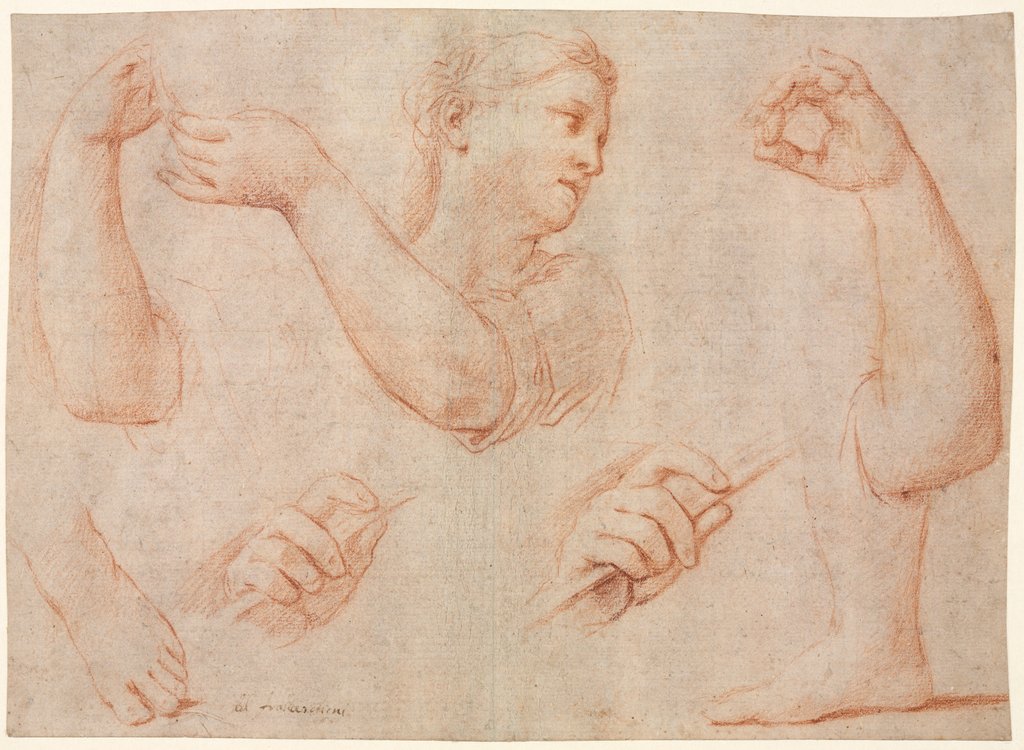 Detail of Study of a Young Woman Playing a Tambourine, and Studies of an Arm, Hands, and Feet…, c. 1711 by Marcantonio Franceschini
