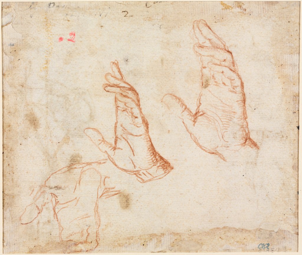 Detail of Study of Hands, c. 1590 by Camillo Procaccini