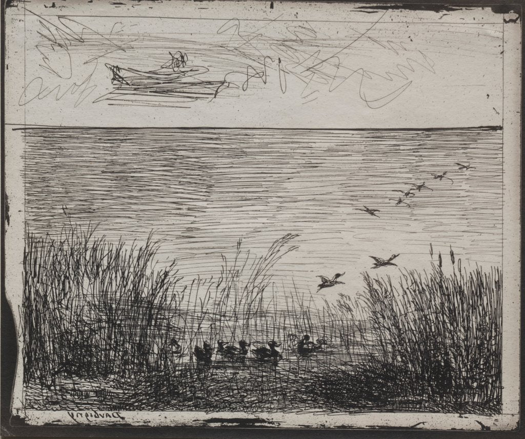 Detail of Swamp with Ducks, original impression 1862, printed in 1921 by Charles François Daubigny