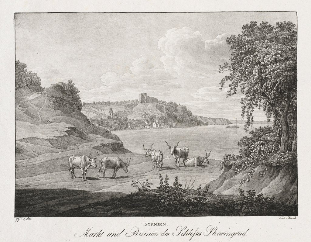 Detail of Syrmien, Markt und Ruinen des Schlosses Sharengrad by Jakob Alt