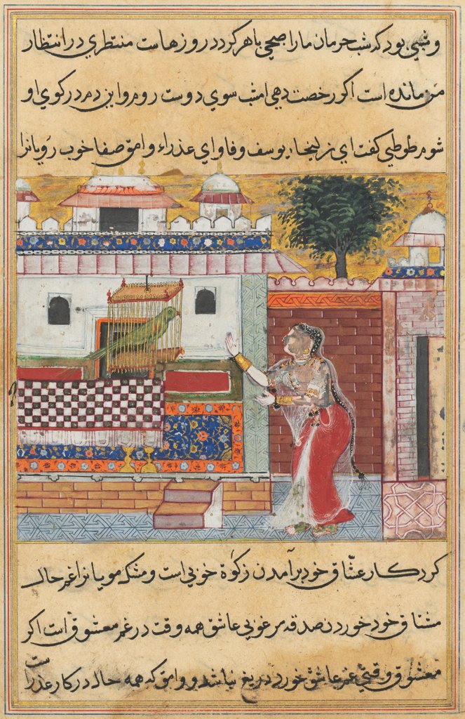Detail of Tales of a Parrot: The Twelfth Night: the parrot addresses Khujasta…, c. 1560 by Unknown