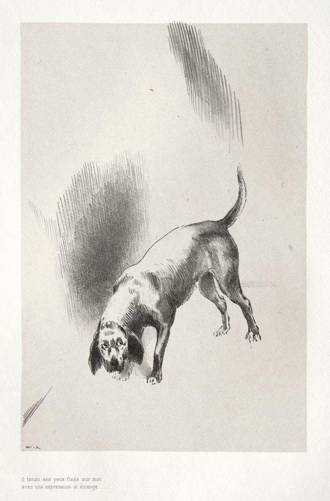 Detail of The Haunted House: He Kept His Eyes Fixed on Me with a Look so Strange, 1896 by Odilon Redon; Auguste Clot