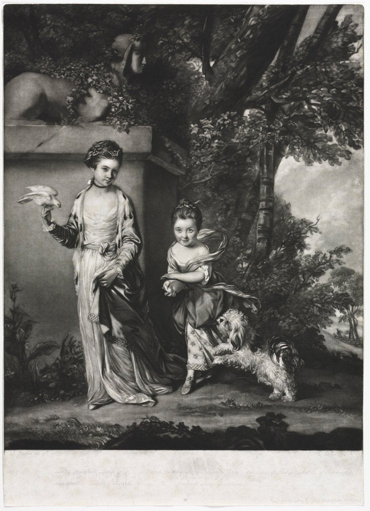 Detail of The Ladies Amabel and Mary Jemima Yorke, c. 1761 by Edward Fisher