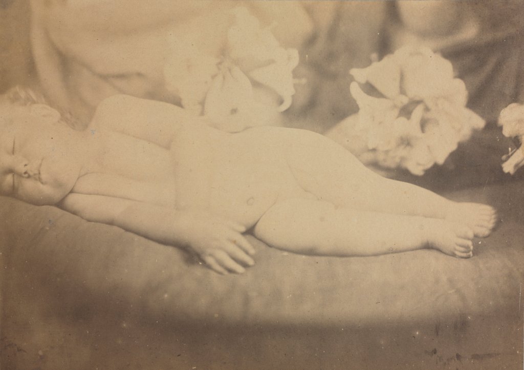 Detail of The Lily and the Lamb, c. 1865 by Julia Margaret Cameron