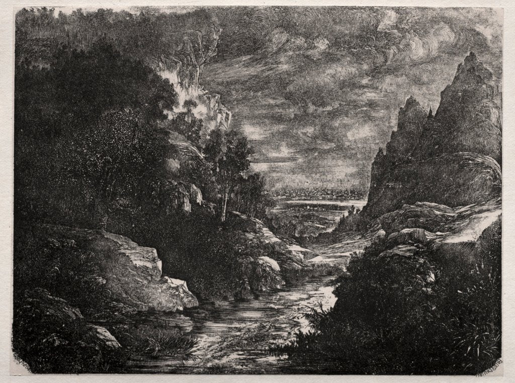 Detail of The Mountain Stream, 1871 by Rodolphe Bresdin
