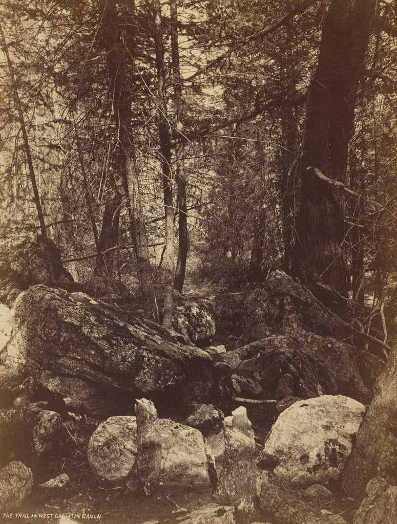 Detail of The Trail in West Gallatin Cañon, c. 1870s by William Henry Jackson