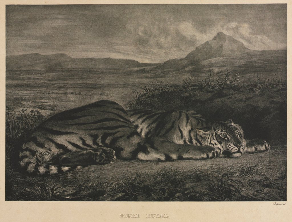 Detail of Tigre Royal, 1829 by Eugène Delacroix