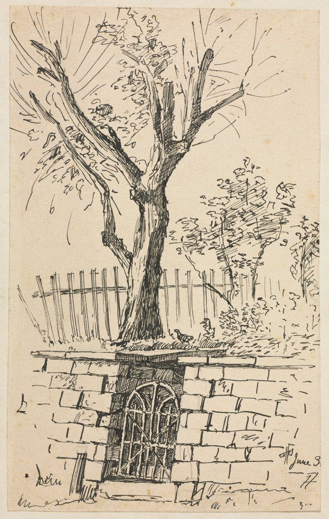 Detail of Tree on Top of a Stone Wall, Cleveland by Otto H. Bacher