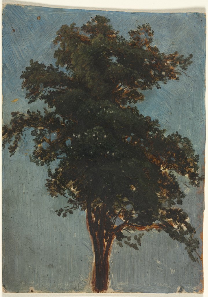 Detail of Tree Study, second third 1800s by Alexandre Calame (attributed to)
