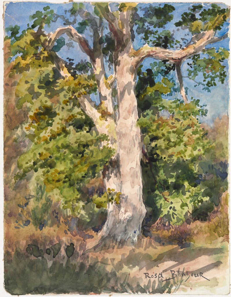 Detail of Tree Study by Rosa Bonheur