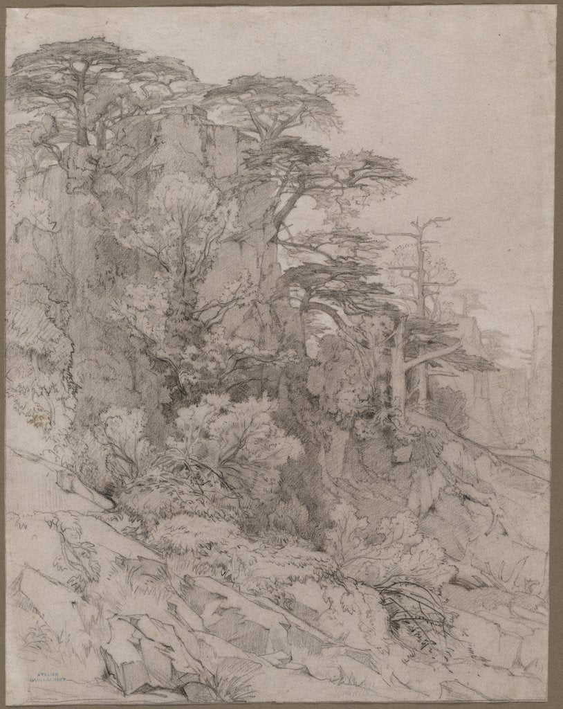 Detail of Trees of a Rocky Hillside, late 1800s by Gustave Achille Guillaumet