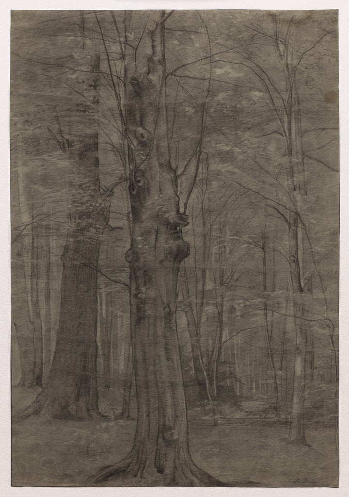 Detail of Trees by Leopold Bode