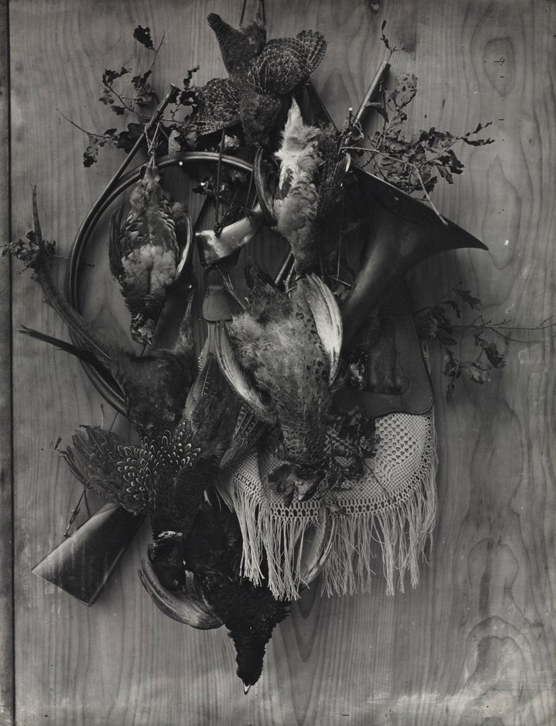 Detail of Trophy of the Hunt, c. 1867 by Adolphe Braun