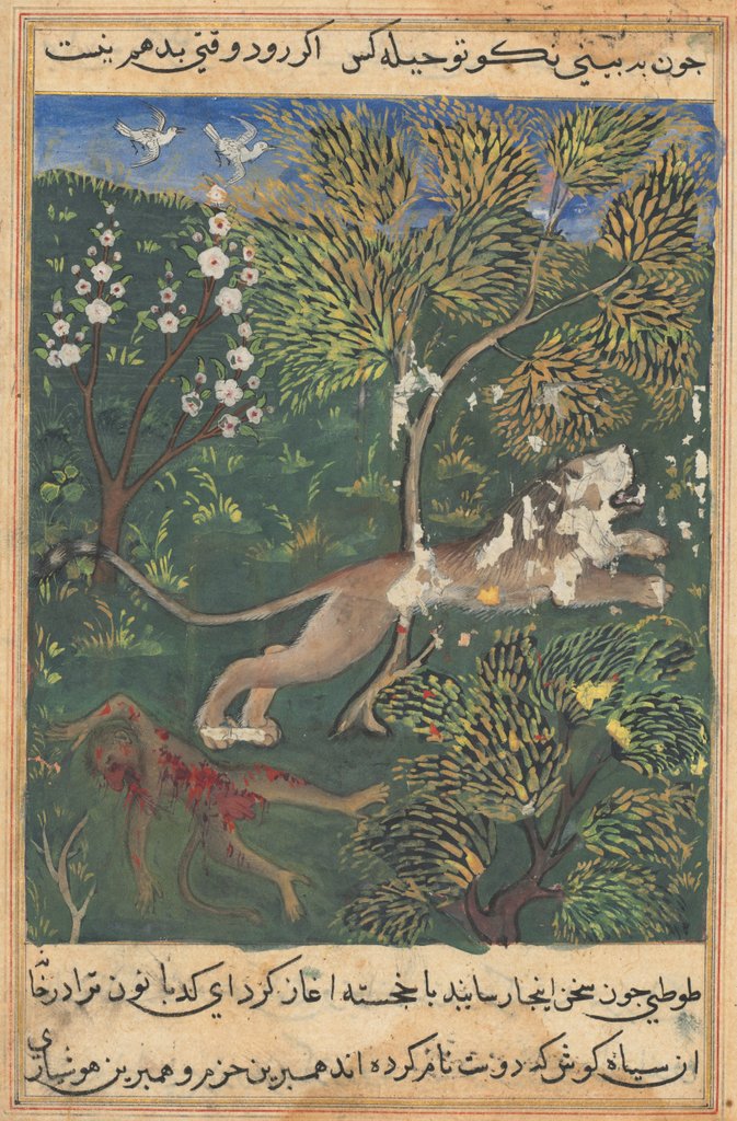 Detail of Tuti-Nama: Tale XXIX, c. 1560 by Unknown