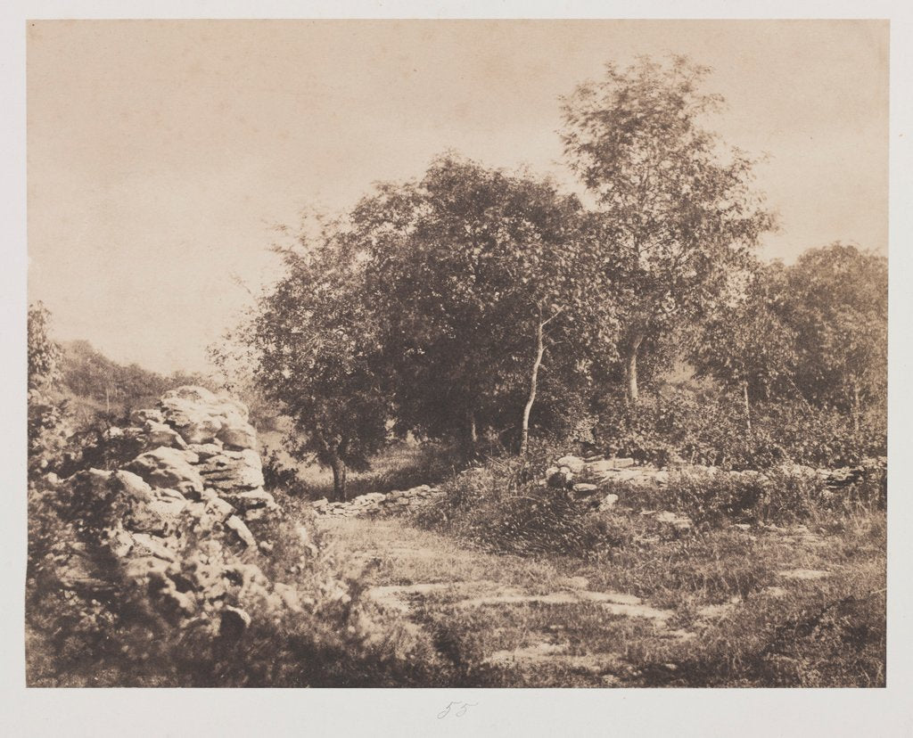 Detail of Untitled, c. 1853 by André Giroux