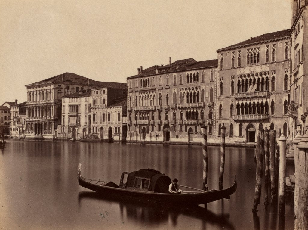 Detail of Untitled, late 19th Century by Unidentified Photographer