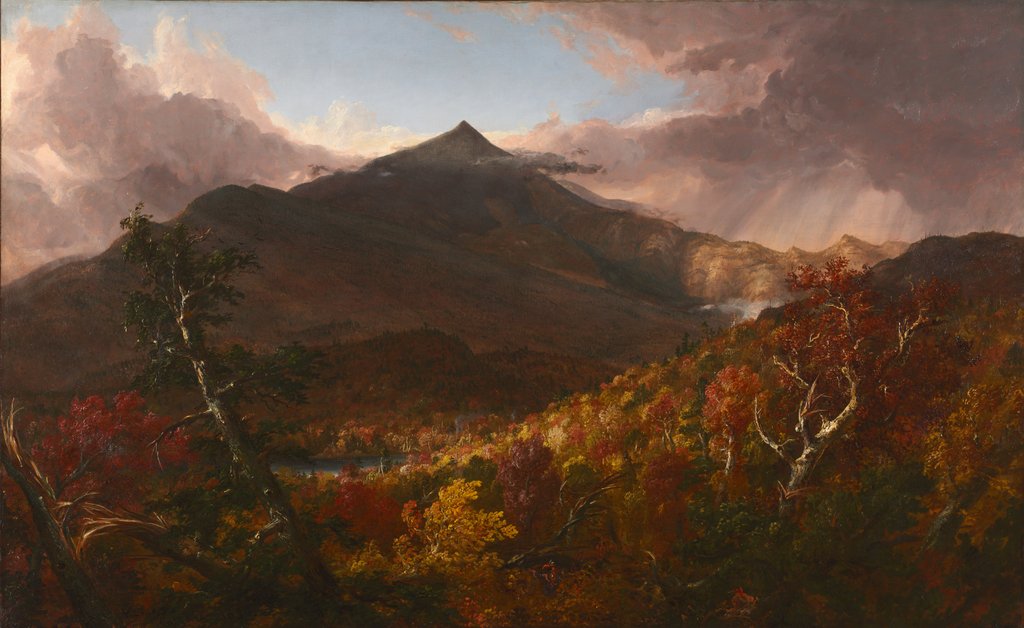 Detail of View of Schroon Mountain, Essex County, New York, After a Storm, 1838 by Thomas Cole
