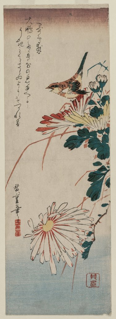 Detail of Warbler and Chrysanthemums, mid 1830s by Ando Hiroshige