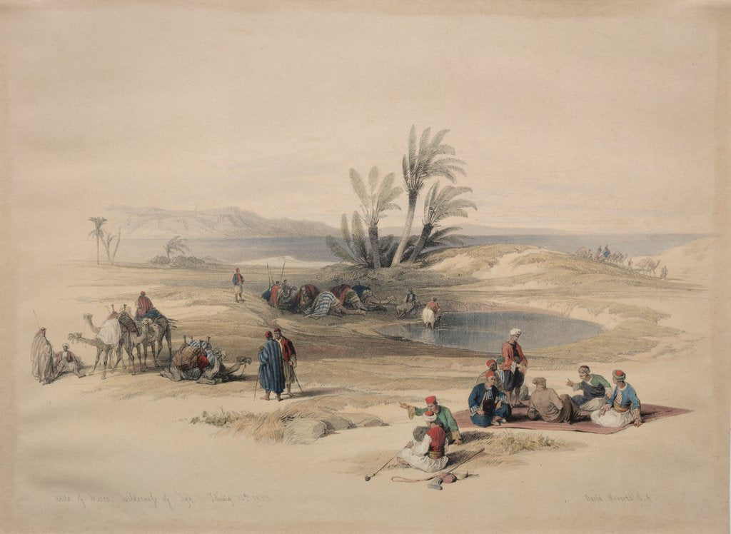 Detail of Wells of Moses, Wilderness of Tyh, 1839 by David Roberts