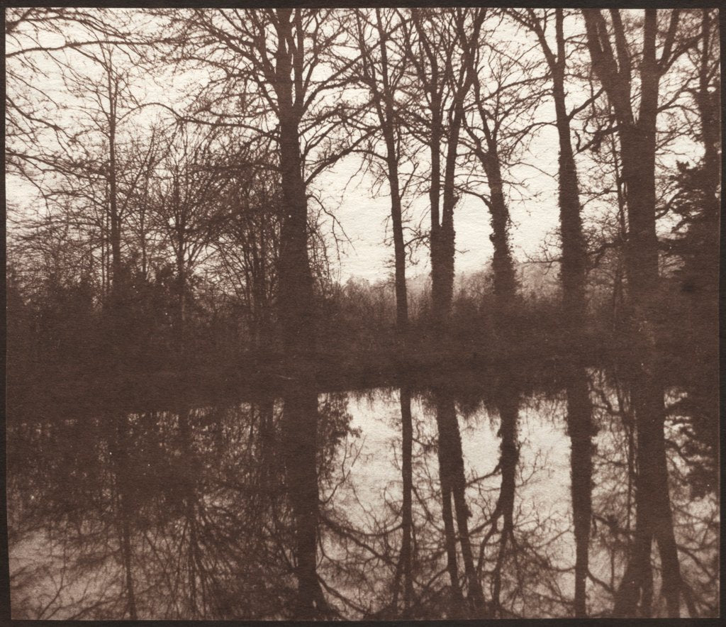 Detail of Winter Trees Reflected in a Pond, 1841-42 by William Henry Fox Talbot