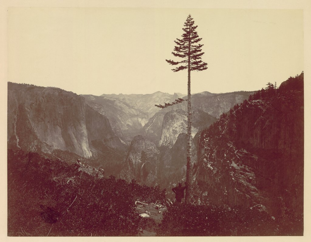 Detail of Yosemite Valley from Mariposa Trail, c. 1865 by Charles Leander Weed