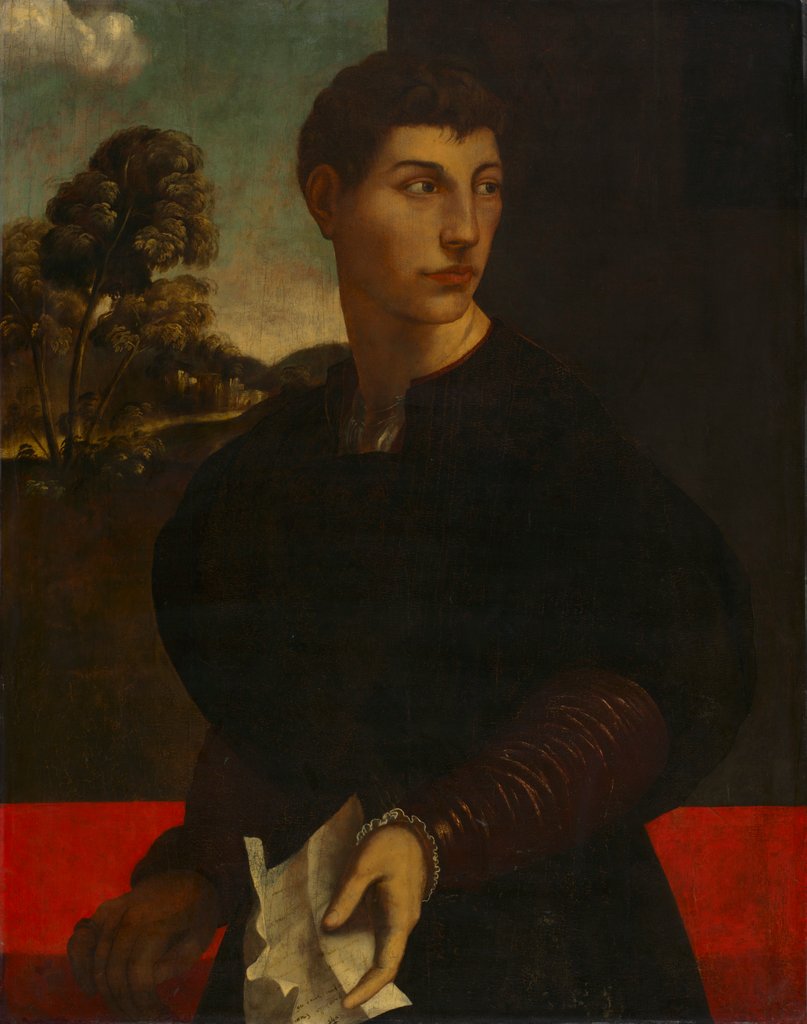 Detail of Portrait of a Young Man, c. 1530 by Dosso Dossi (follower of)