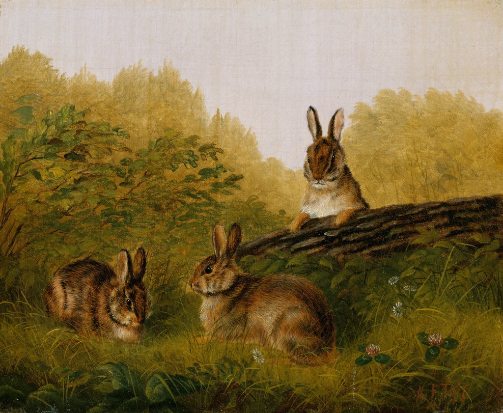Detail of Rabbits on a Log, 1897 by Arthur Fitzwilliam Tait
