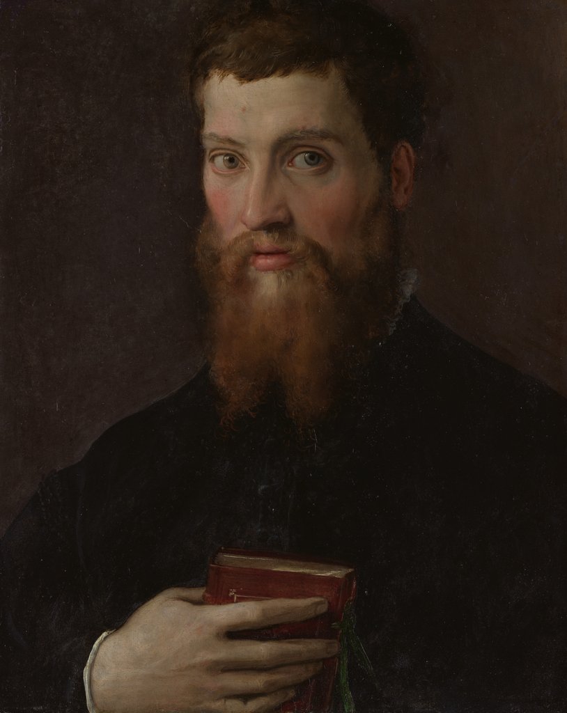 Detail of Carlo Rimbotti, 1548 by Francesco Salviati